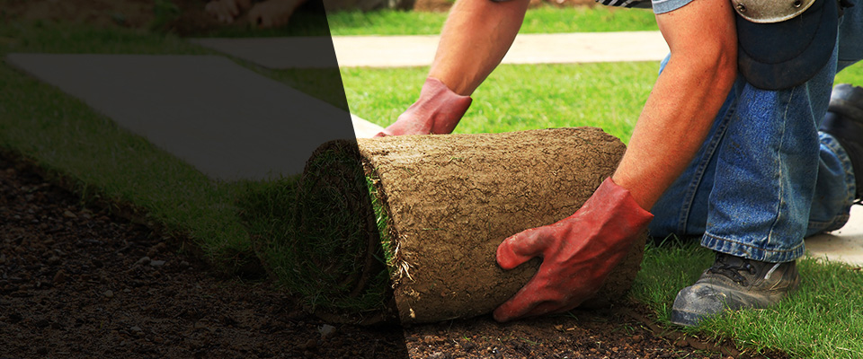 Heber Springs Landscapers